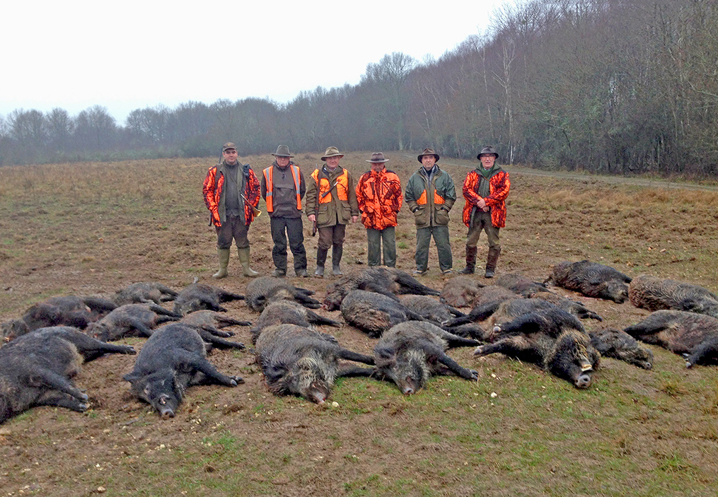 Emminence Chasse en battue